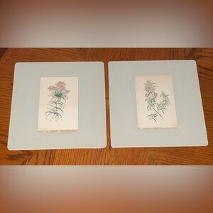 🏡 2 Antique Botanical Glass Table Place Mats with Felt backing